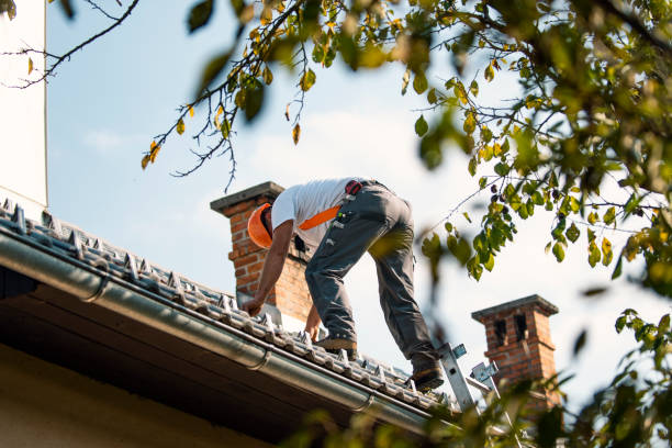 Best Roof Gutter Cleaning  in Waikoloa Village, HI